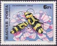 (1980-006) Марка Венгрия "Усач изменчивый"    Насекомые, опыляющие цветы II Θ